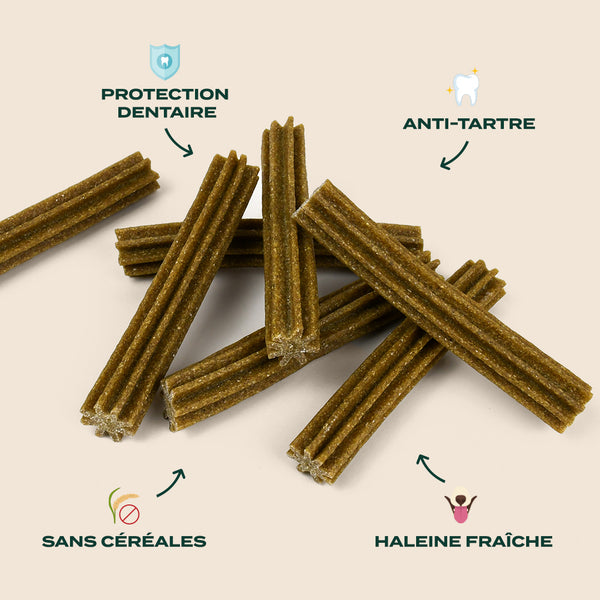 sticks-menthe-sauge-offre-compte-abonne
