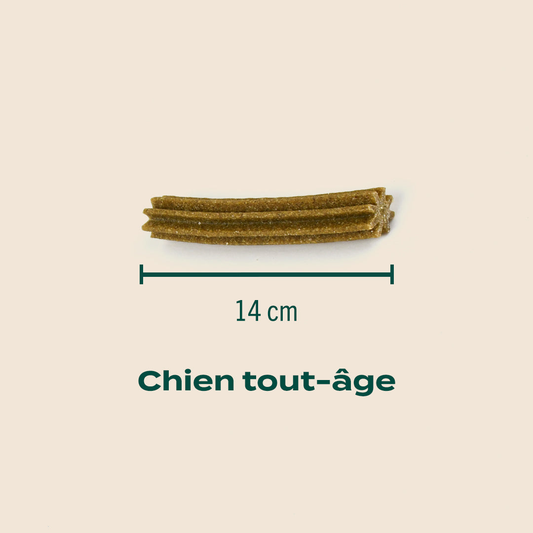 STICKS MENTHE, SAUGE - Offre compte abonné