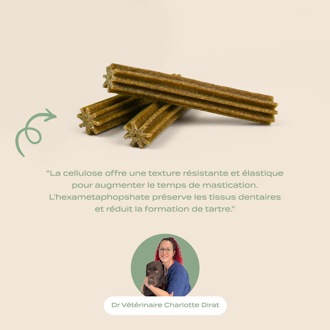 STICKS MENTHE, SAUGE - Offre compte abonné