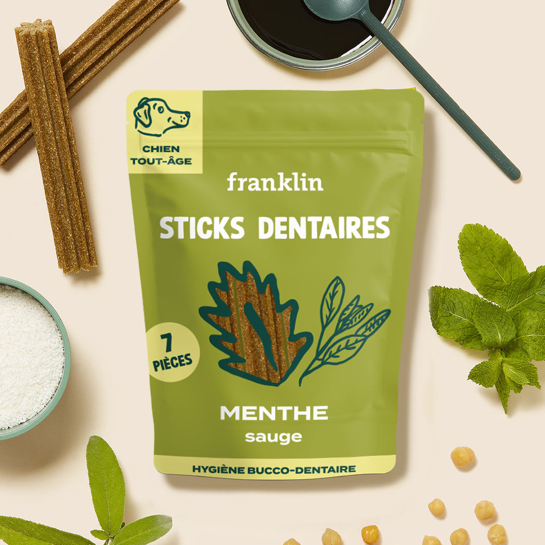 STICKS MENTHE, SAUGE