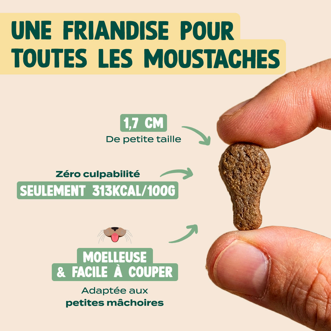 MINI BOUCHÉES - POULET, HERBE À CHAT