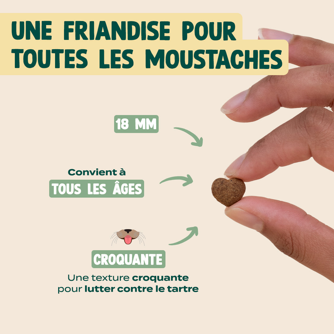 BISCROC' ANTI BOULES DE POILS