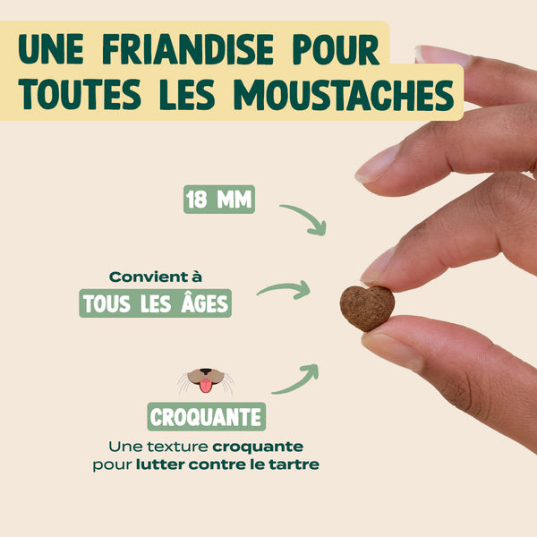 biscroc-39-anti-boules-de-poils