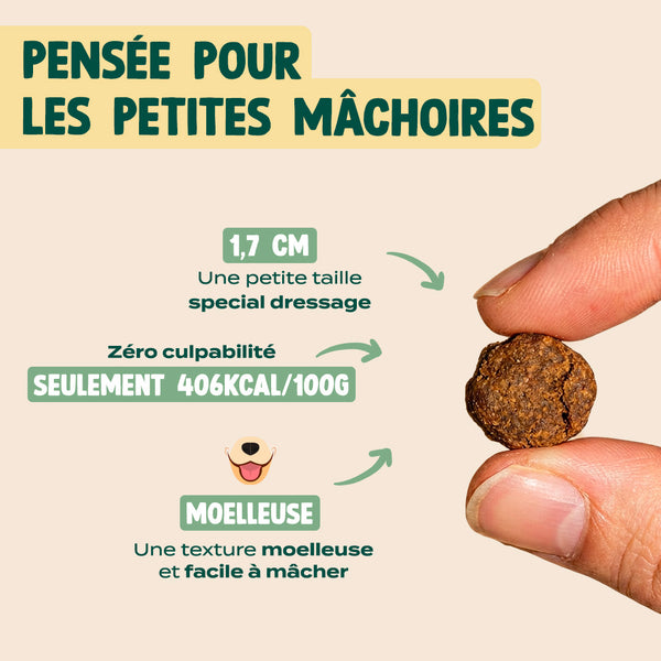 mini-viande-sechee-boeuf-romarin