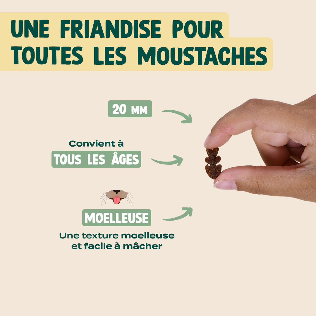 MINI SNACK DIGESTION