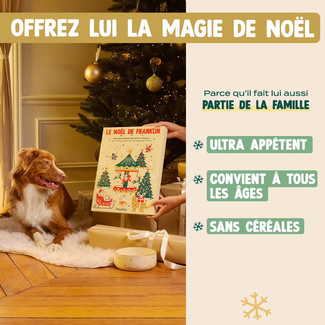 CALENDRIER DE L'AVENT CHIEN
