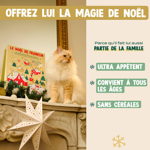 calendrier-de-l-39-avent-chat