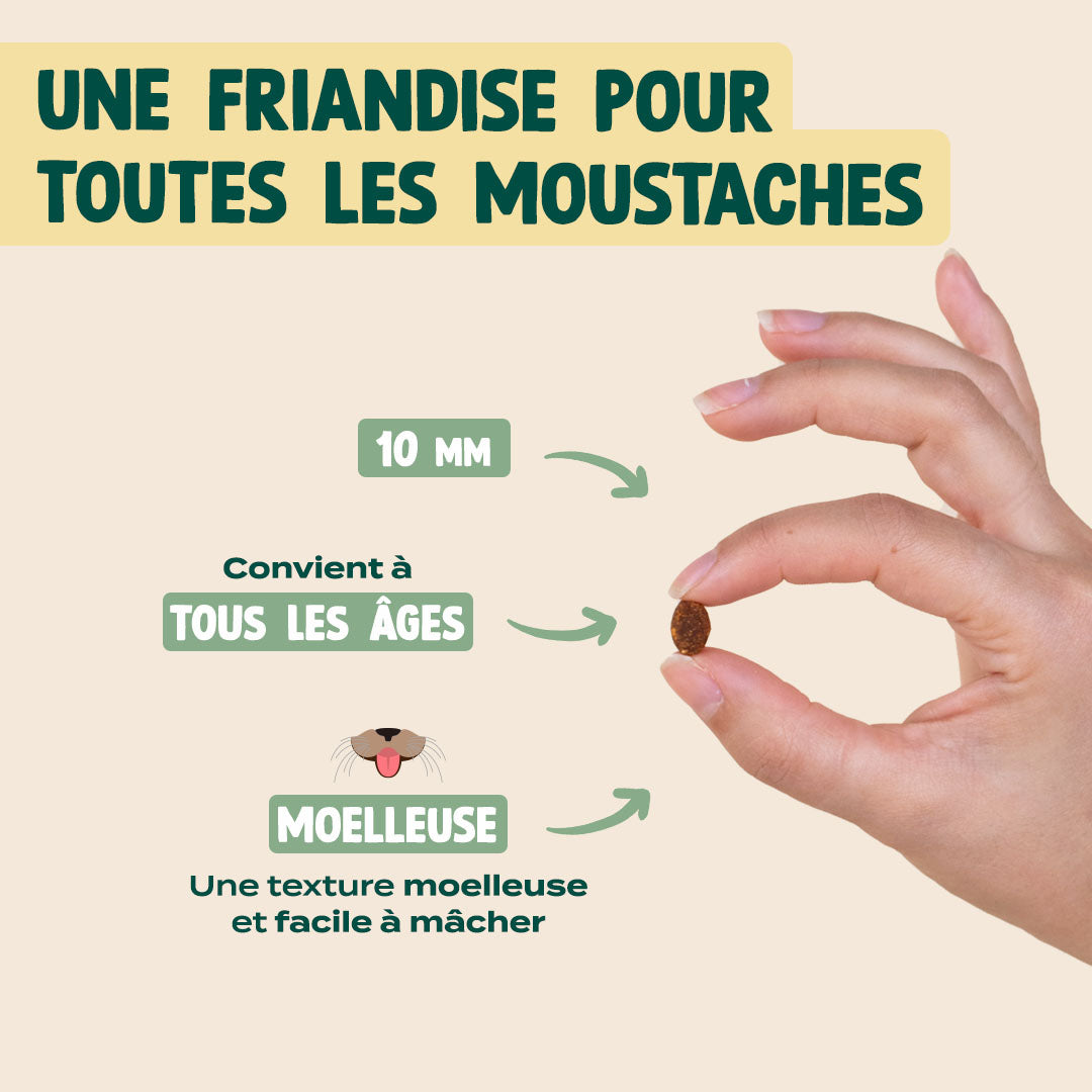 SUPER SNACK SAUMON, COLLAGÈNE