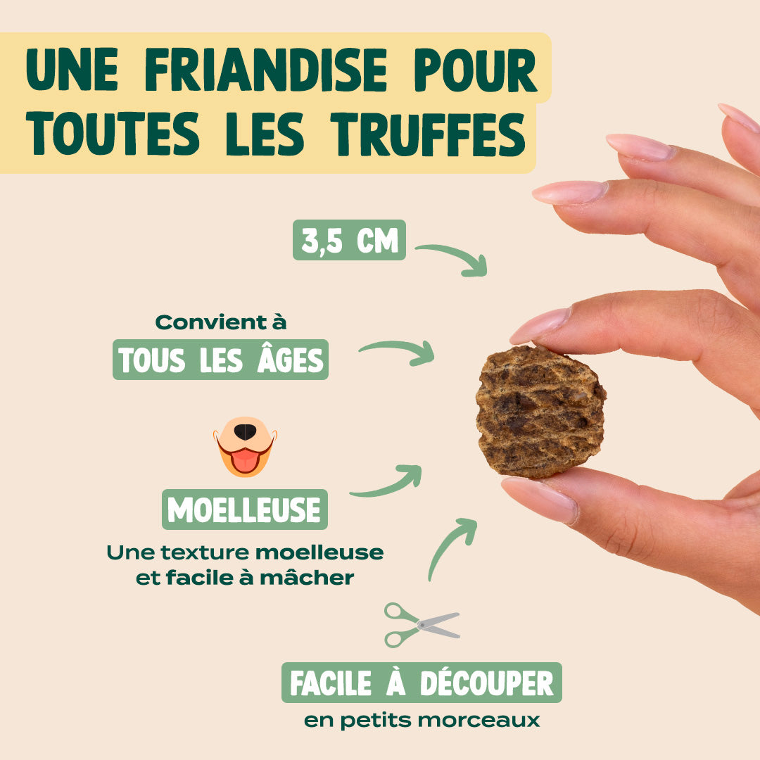 BOEUF SÉCHÉ BARBECUE