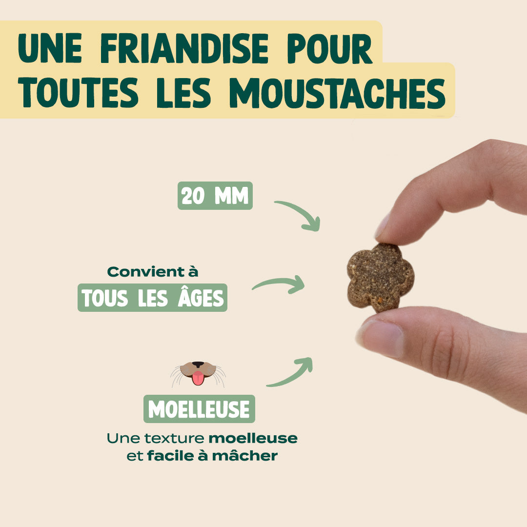 SUMMER SNACK DINDE, VALÉRIANE