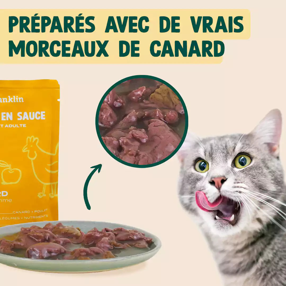 CANARD, POULET, POMME