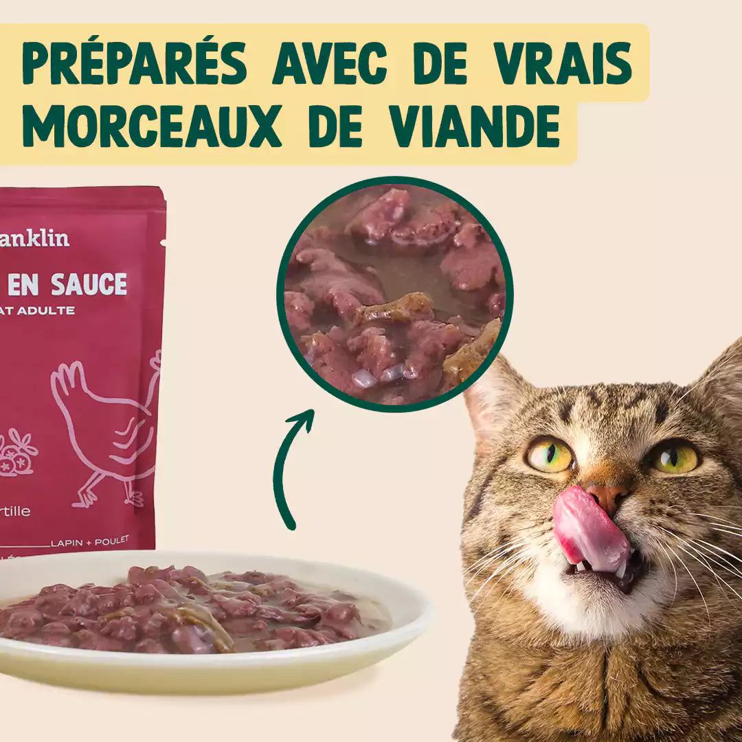 LAPIN, POULET, MYRTILLE