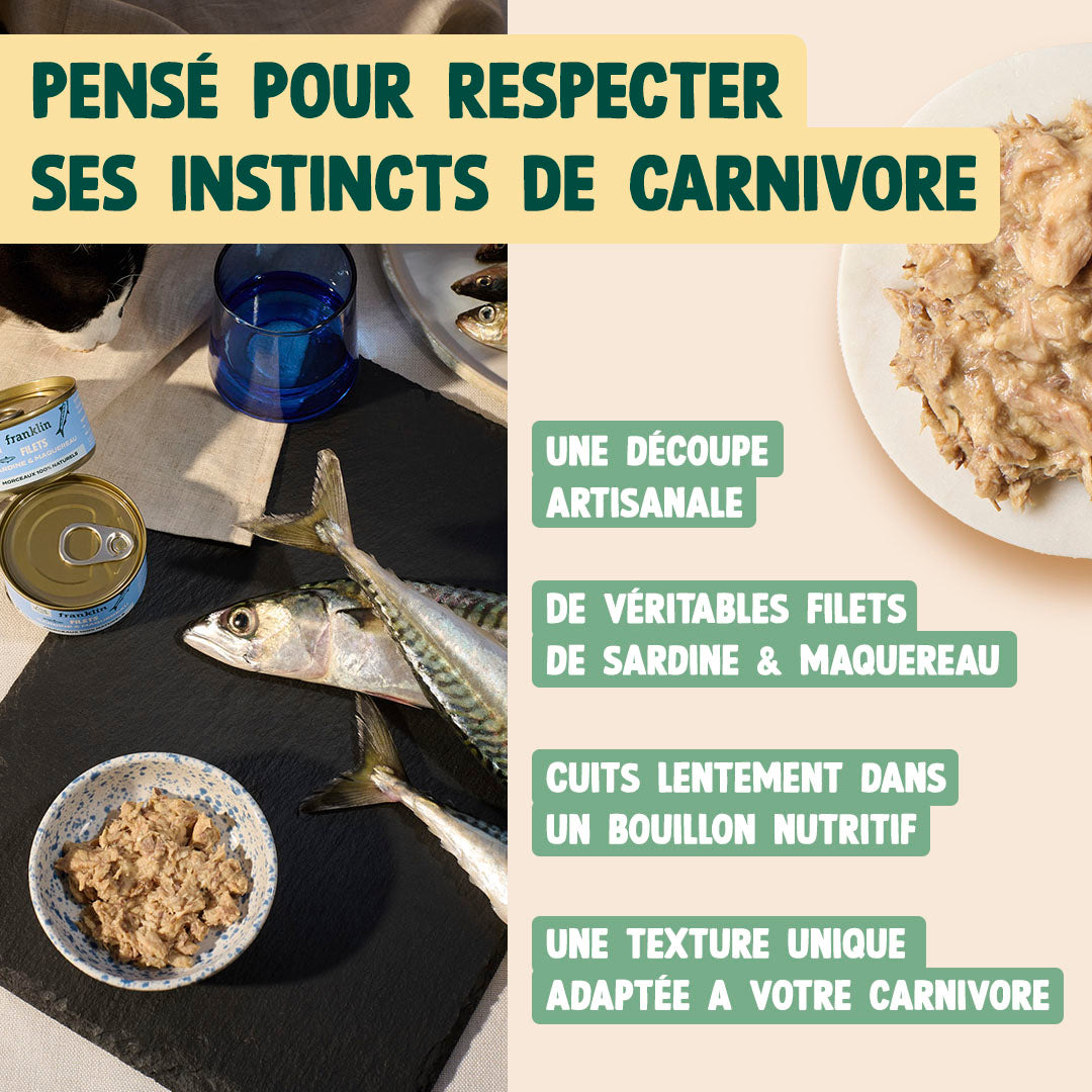 SARDINE & MAQUEREAU