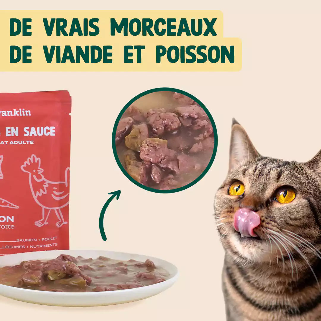 SAUMON, POULET, CAROTTE