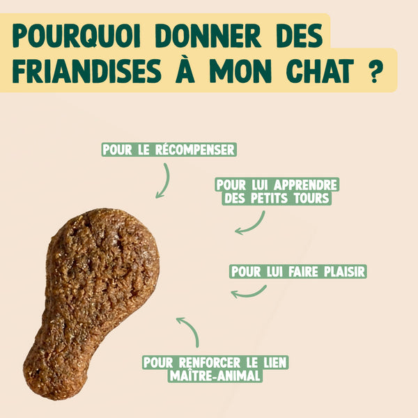 mini-bouchees-poulet-herbe-a-chat