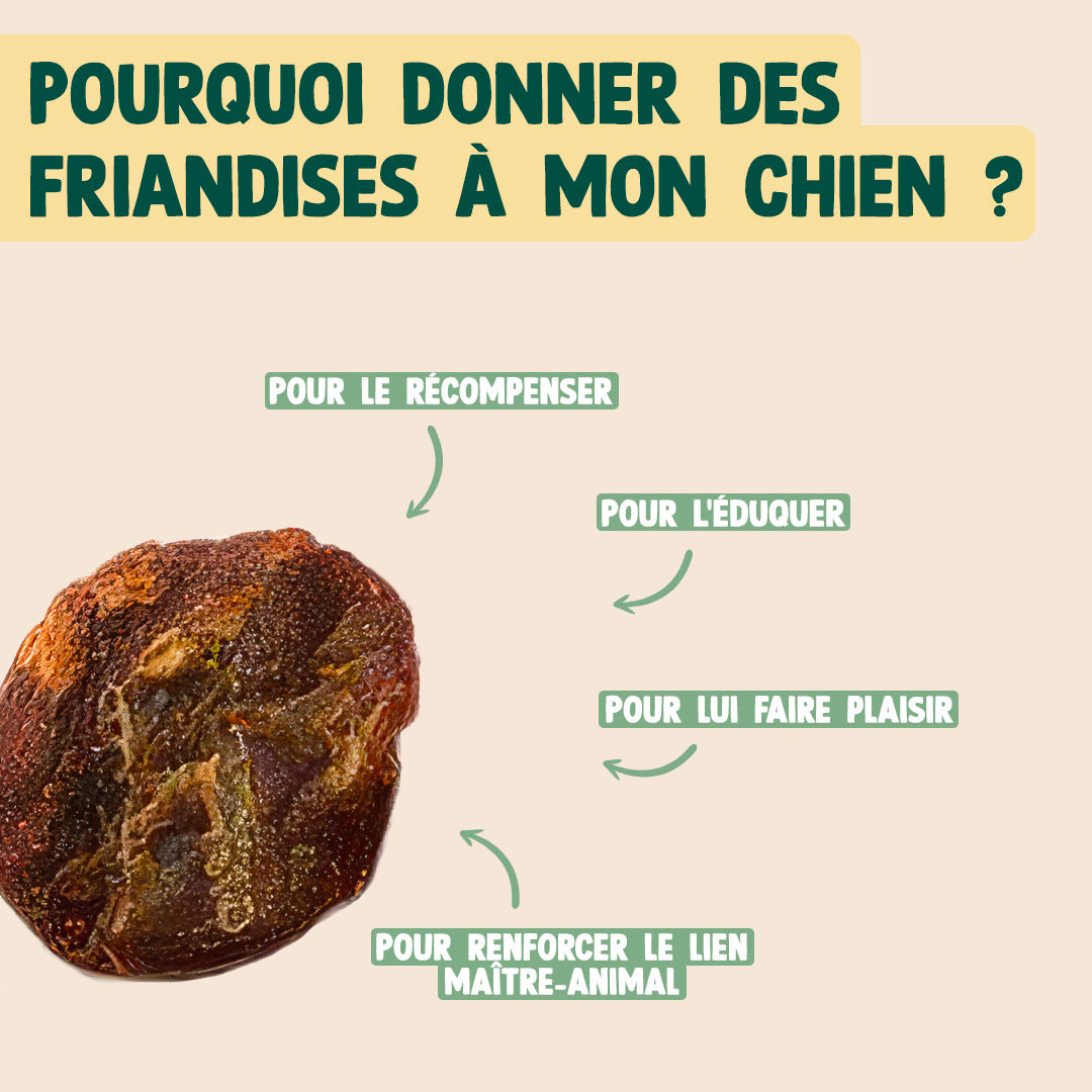 MINI VIANDE SÉCHÉE - BOEUF, ROMARIN