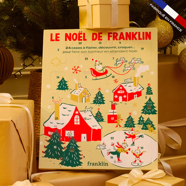 calendrier-de-l-39-avent-chat