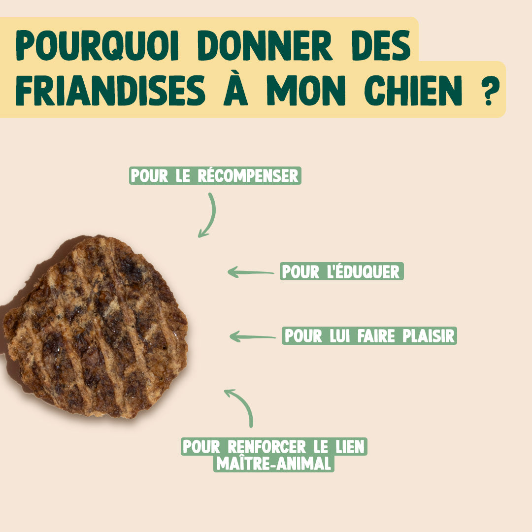 BOEUF SÉCHÉ BARBECUE