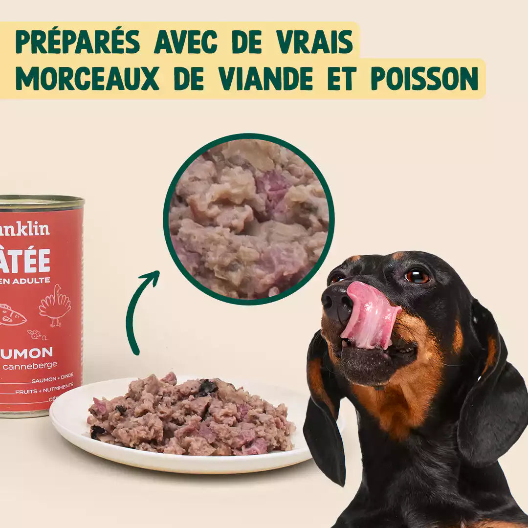 SAUMON, DINDE, CANNEBERGE