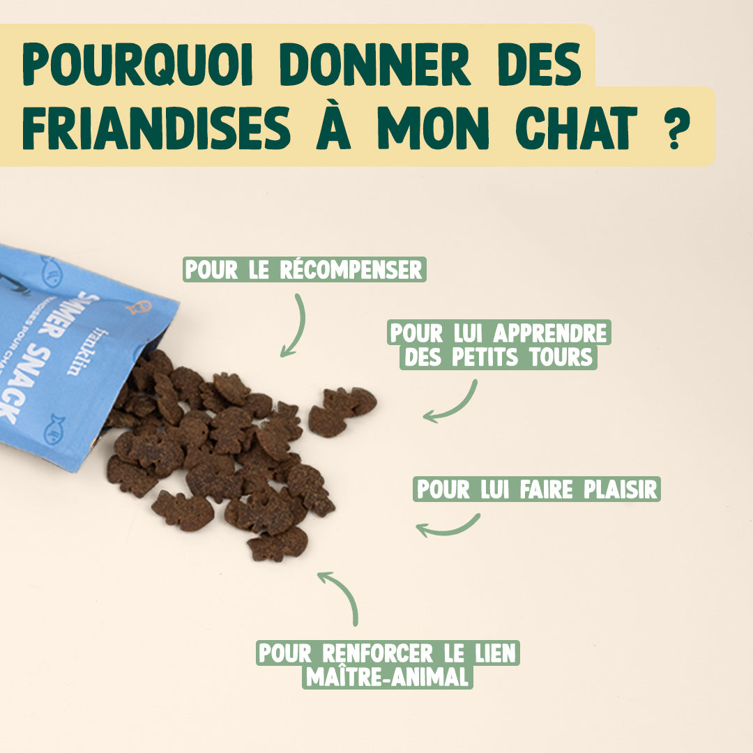 SUMMER SNACK HARENG, ROMARIN