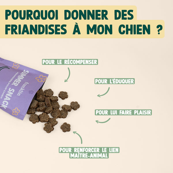 summer-snack-dinde-valeriane