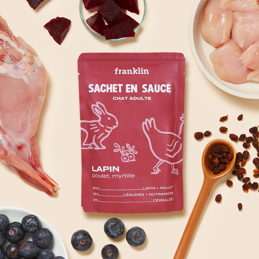 LAPIN, POULET, MYRTILLE