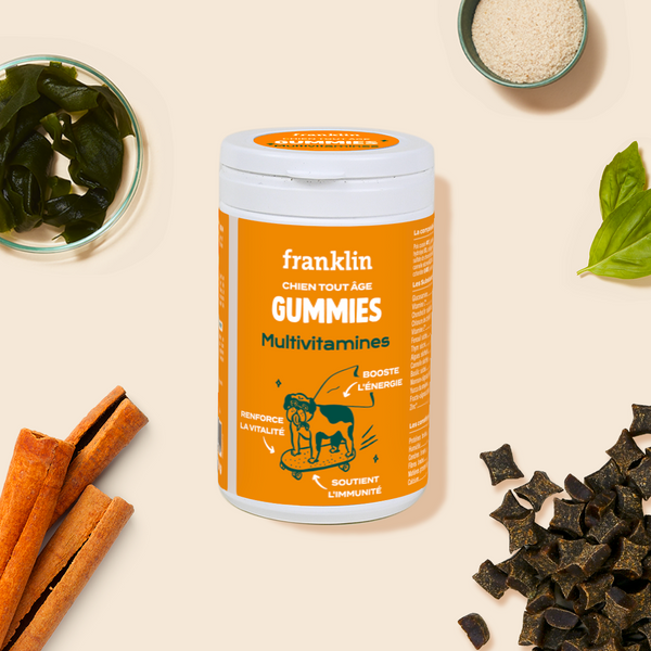 gummies-multivitamines