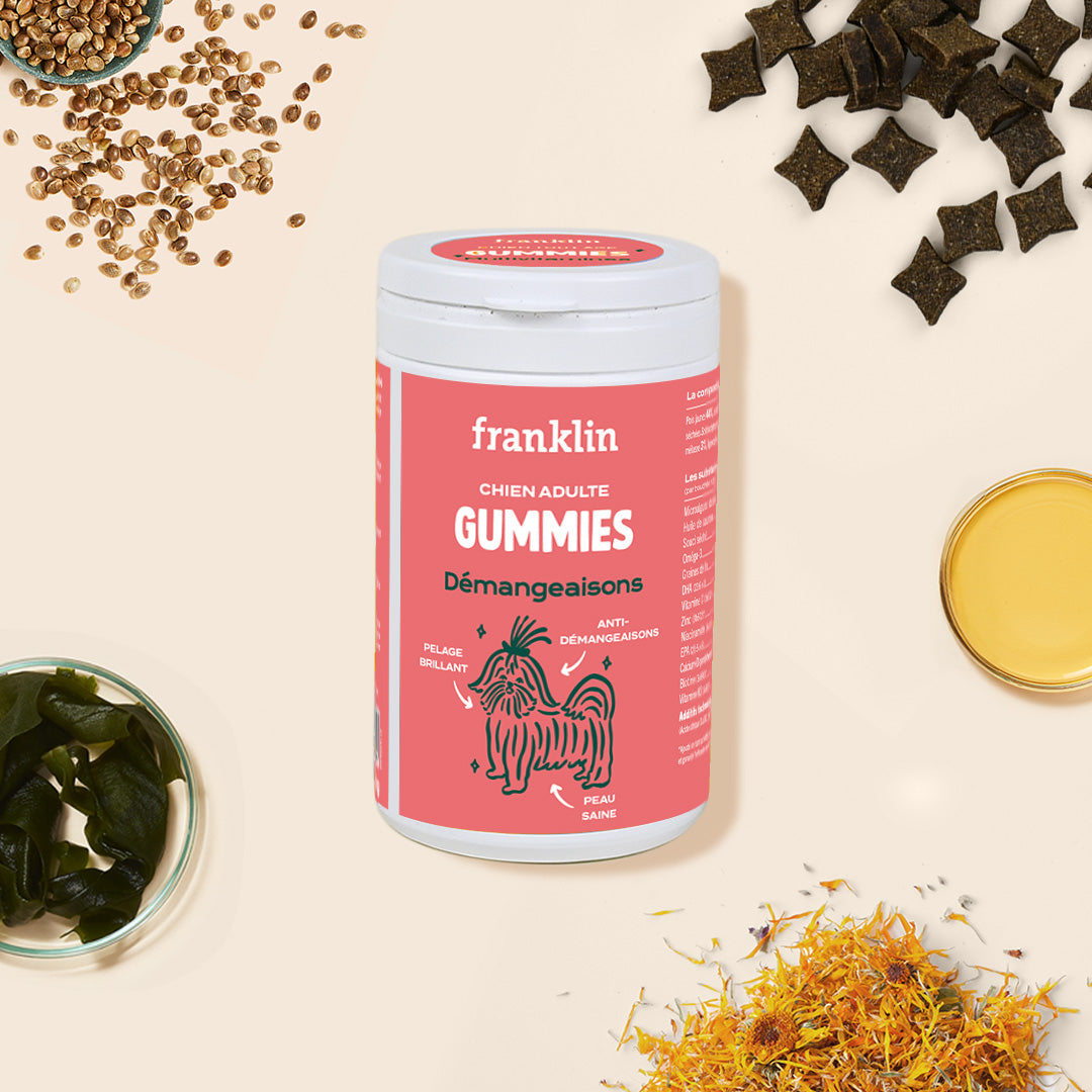 GUMMIES DÉMANGEAISONS