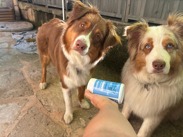 Romy & Milo & Vera