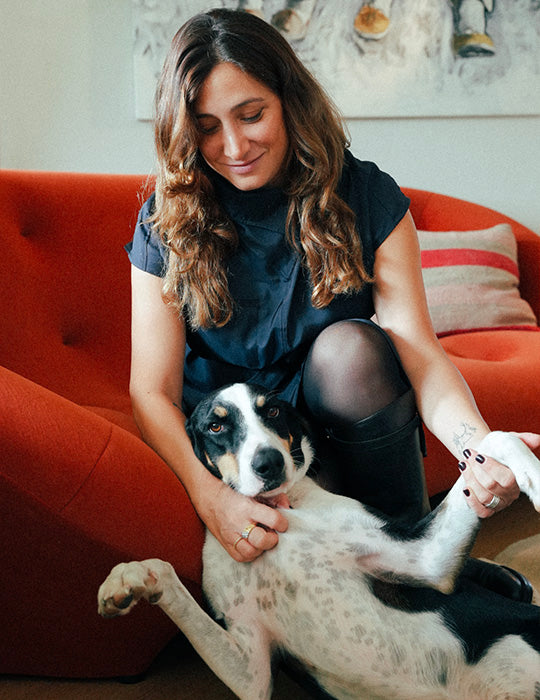 Franklin Alimentation premium pour chien et chat. Choisissez la meilleure nourriture pour votre animal : Croquettes sans céréales riches en protéines et faibles en glucides. Découvrez notre large gamme de pâtées et de friandises riches en viande !