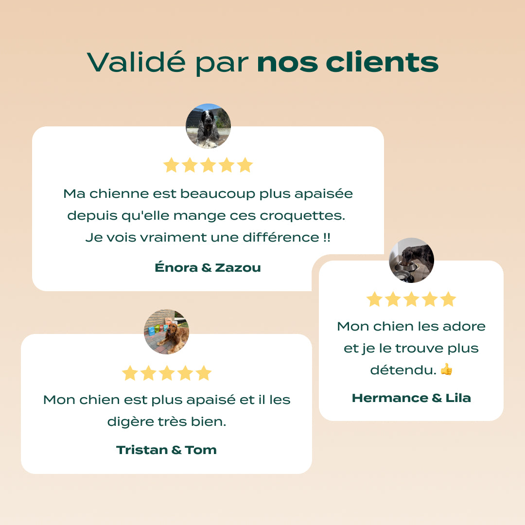 DINDE, SAUMON, VALÉRIANE