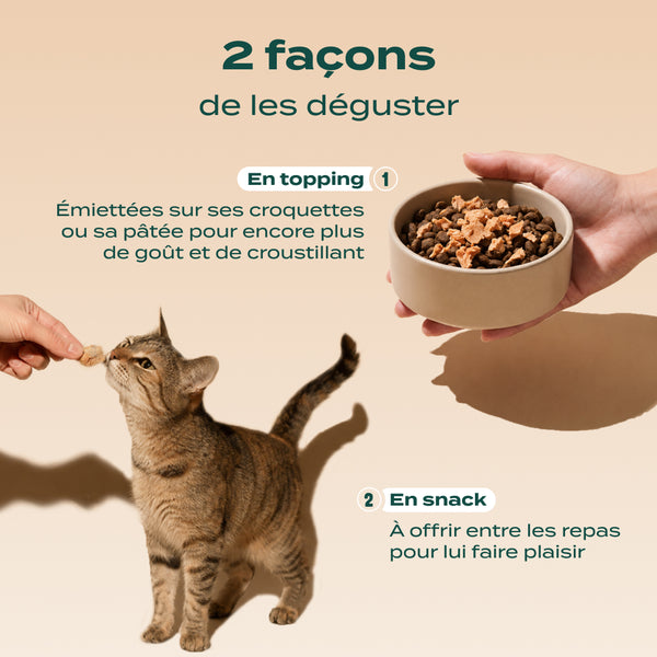 duo-snack-sauvage