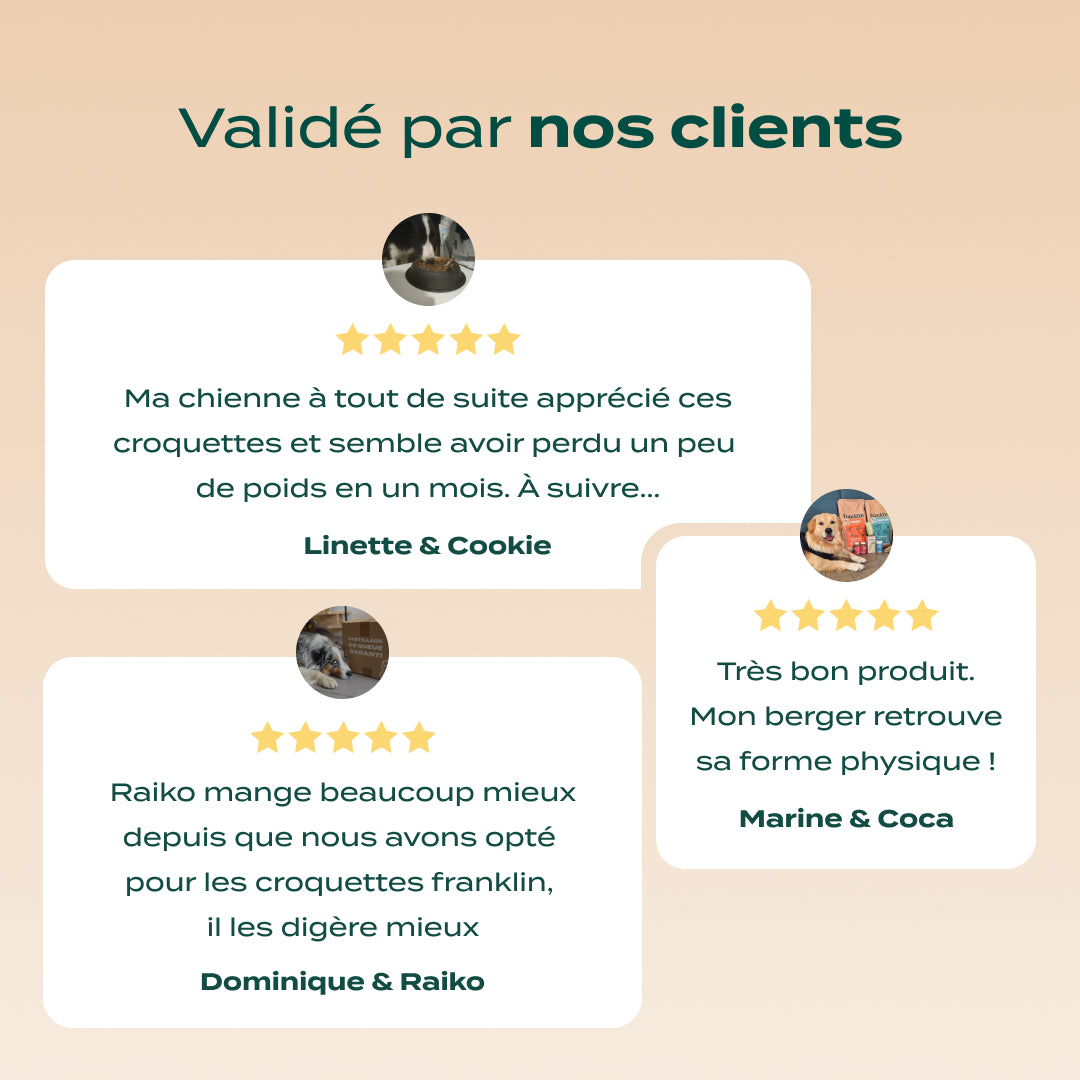 DINDE, PATATE DOUCE, ÉPINARDS