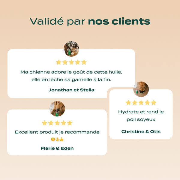 huile-de-chanvre-bio