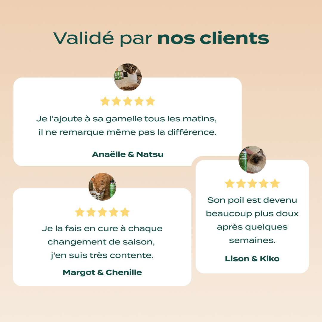 HUILE DE CHANVRE BIO