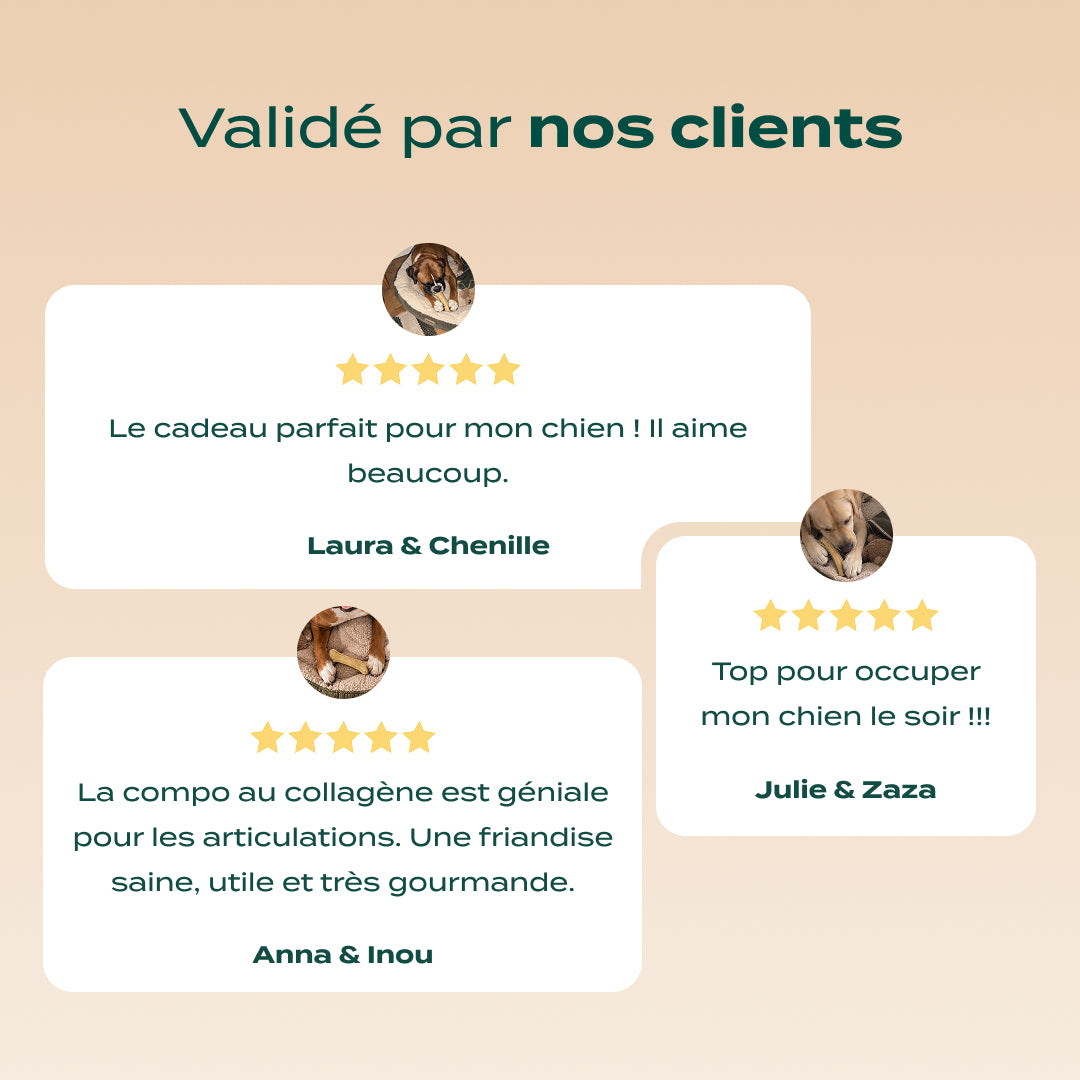 OS À MÂCHER