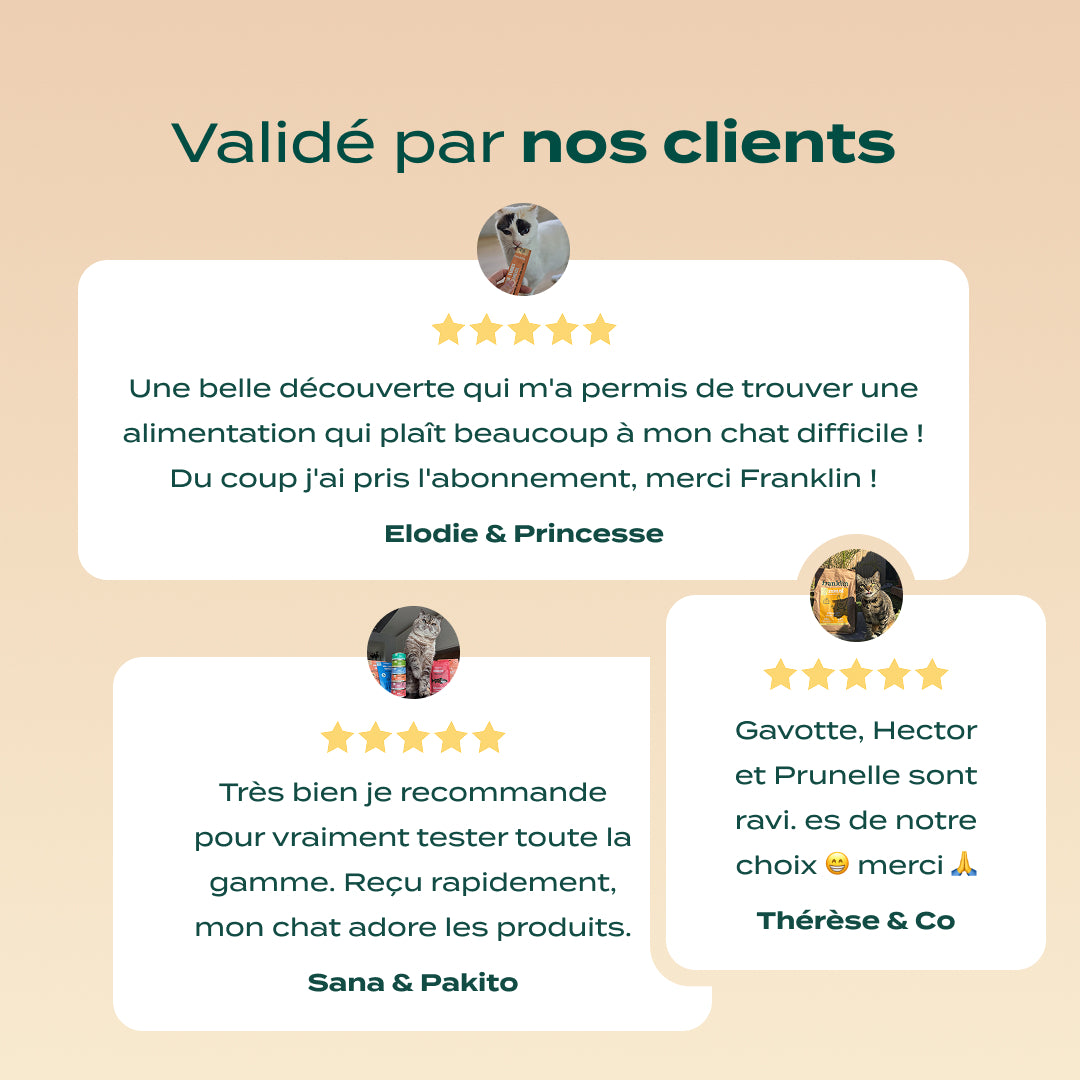 PACK DÉCOUVERTE CHAT
