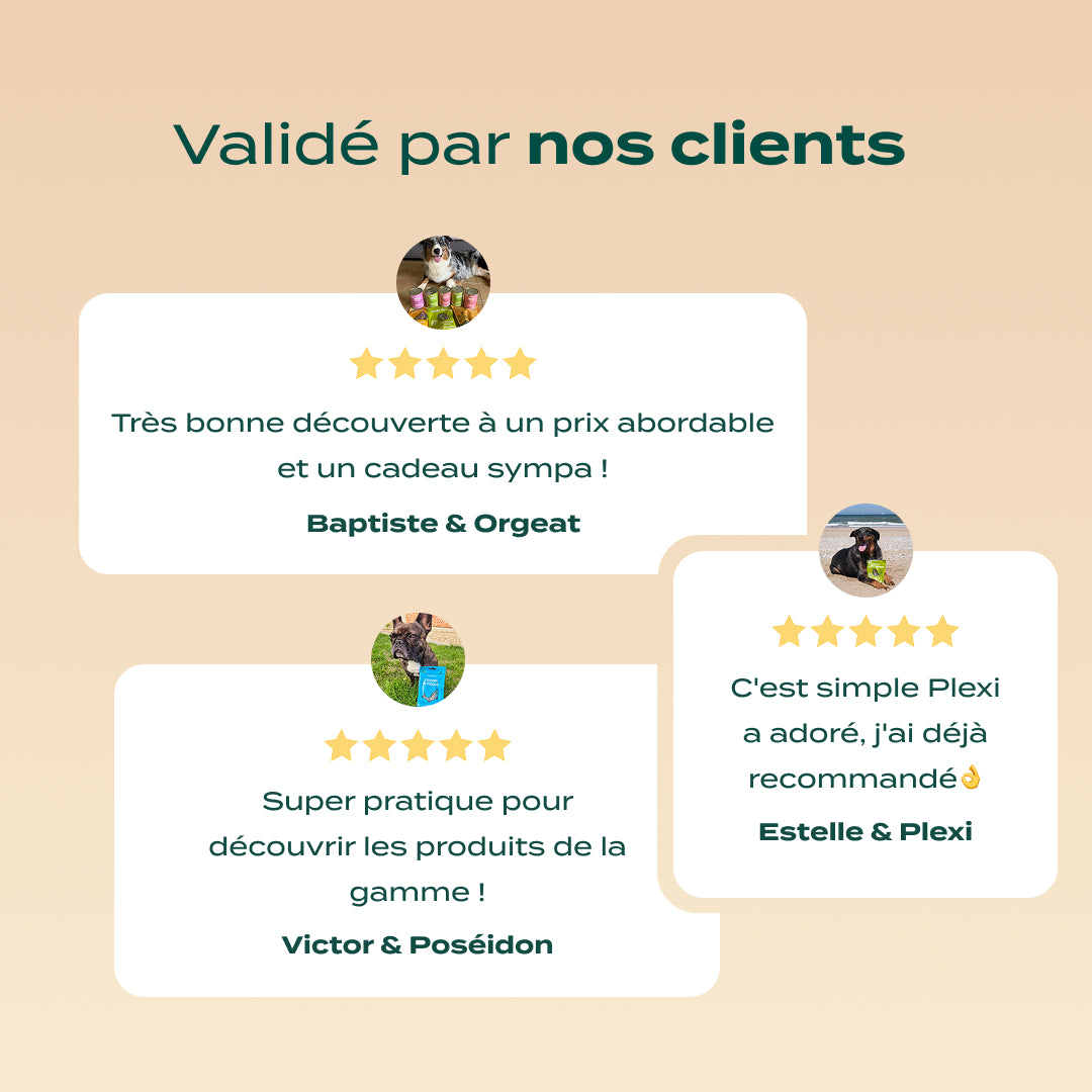 PACK DÉCOUVERTE CHIEN