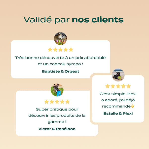 pack-decouverte-chien