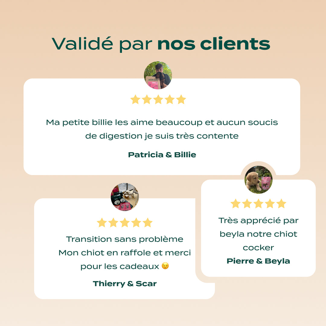 PACK DÉCOUVERTE CHIOT