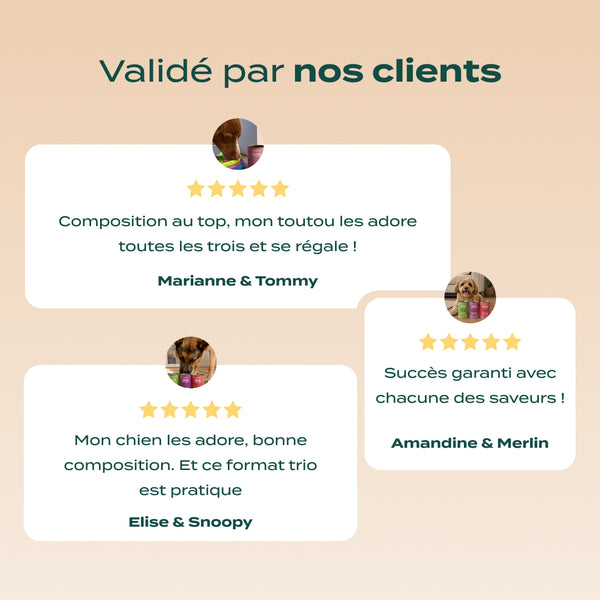 trio-3-saveurs-patees