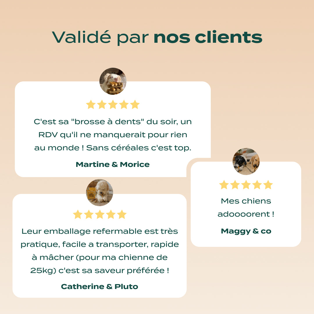 STICKS AU FROMAGE