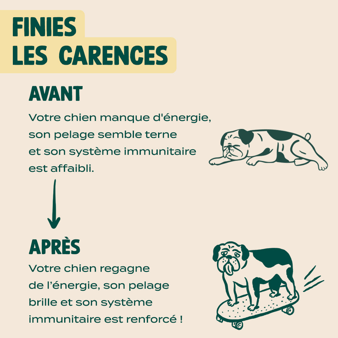 HUILE DE CHANVRE BIO