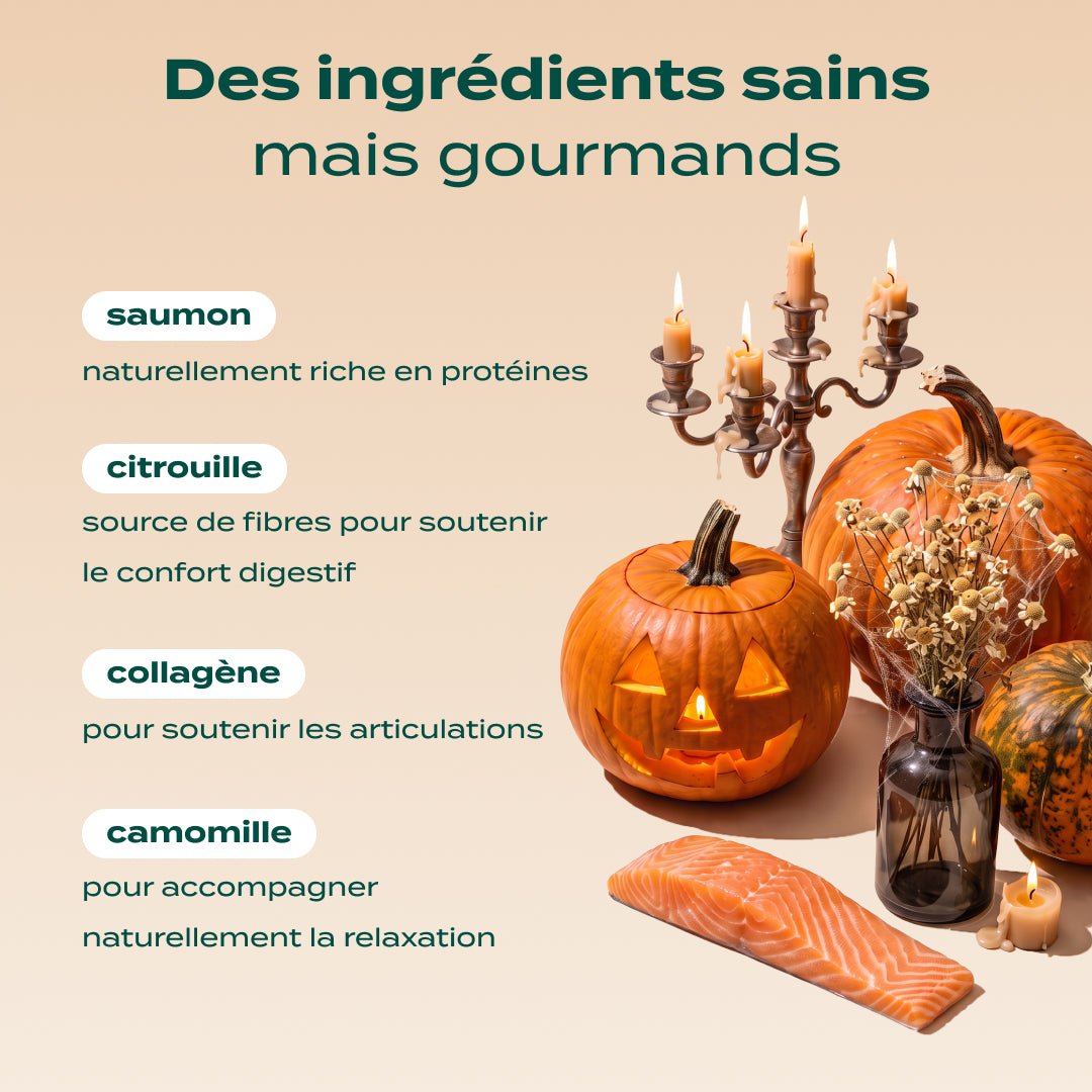 BOUCHÉES ENSORCELÉES SAUMON, CITROUILLE