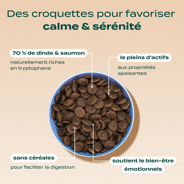 pack-decouverte-anti-stress-chien