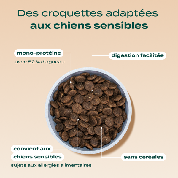 agneau-patate-douce-menthe