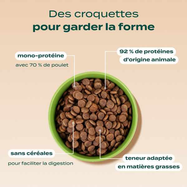 poulet-courge-myrtille