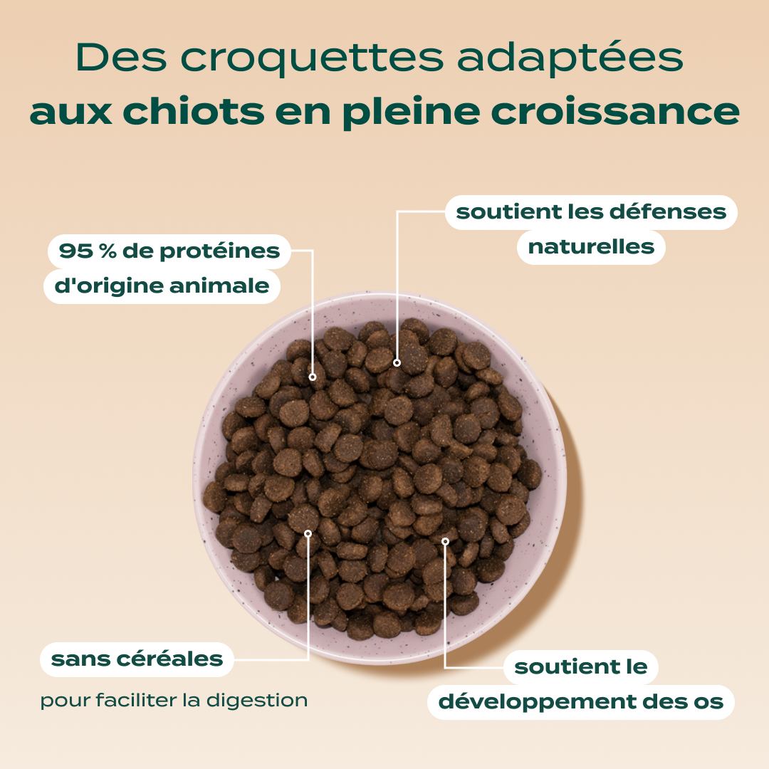 DINDE, TRUITE, PATATE DOUCE