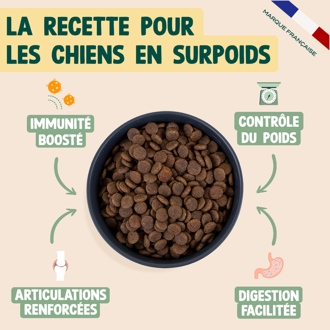 DINDE, PATATE DOUCE, ÉPINARDS