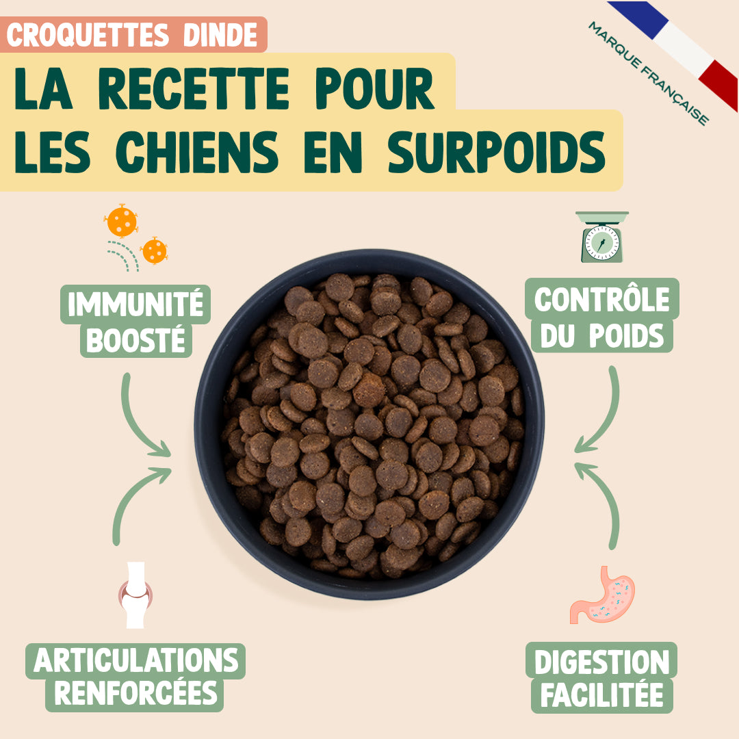 PACK SURPOIDS CHIEN